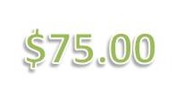 Donate - 75 dollar
